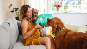 Amolatina for Pet Lovers: Finding Animal-Loving Matches Without the Hairballs