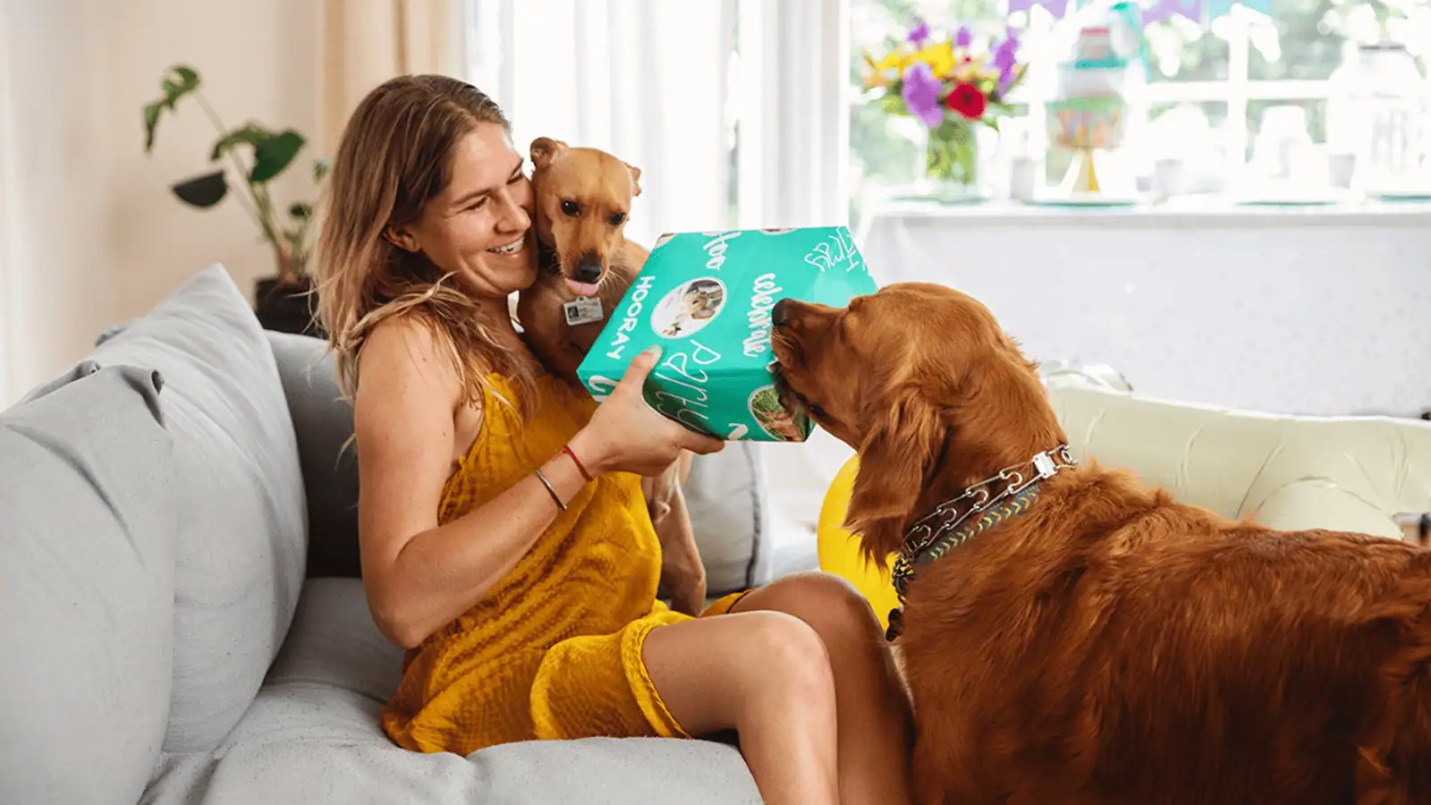Amolatina for Pet Lovers: Finding Animal-Loving Matches Without the Hairballs