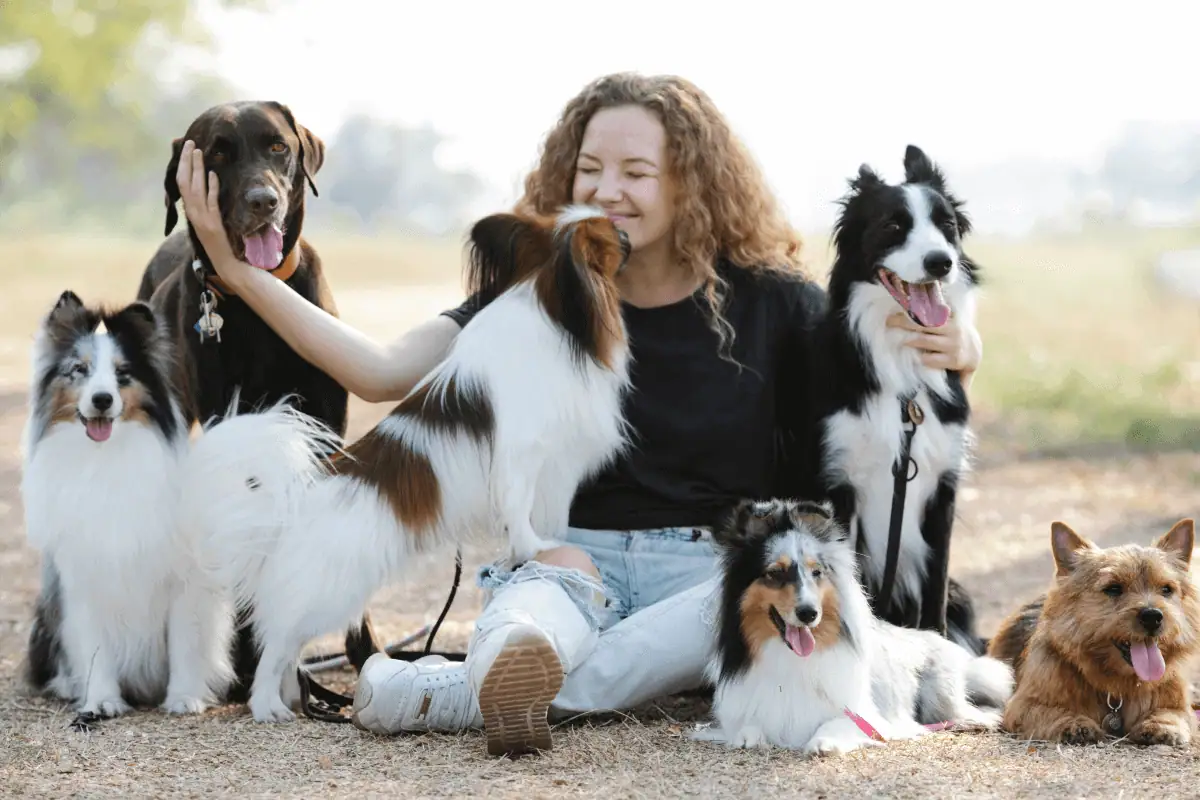 Amolatina for Pet Lovers